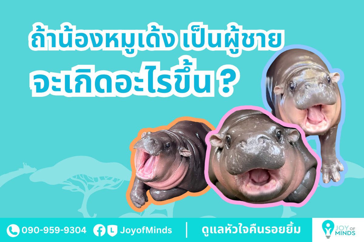 ถ้าน้องหมูเด้ง เกิดมาเป็นผู้ชาย จะเกิดอะไรขึ้น